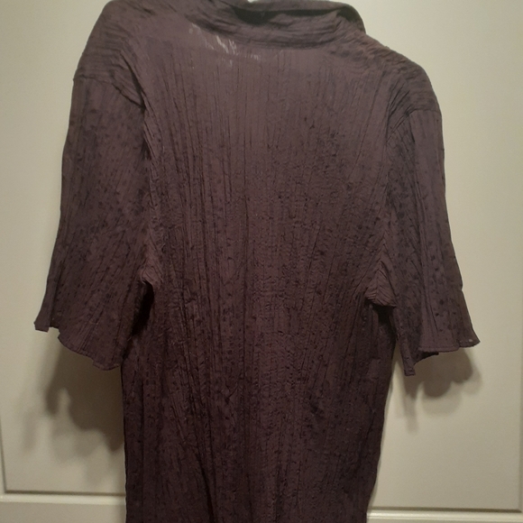 Purple Short Sleeve Blouse - Picture 3 of 6